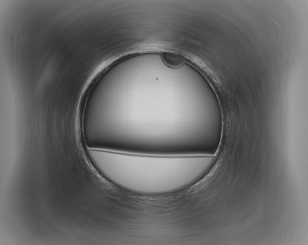 X0000116621469200912110931