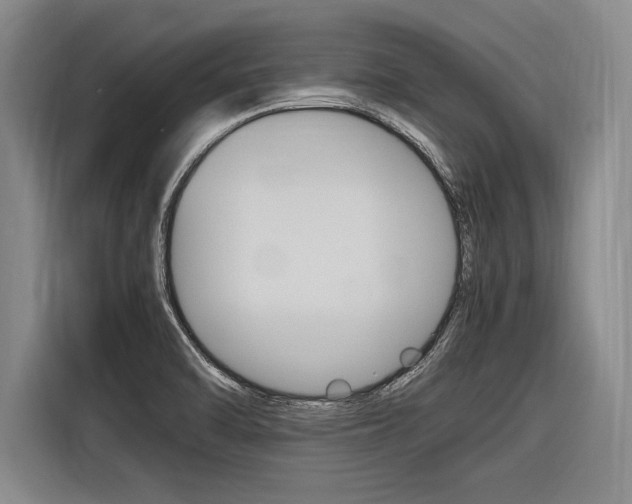 X0000116621470200912110931