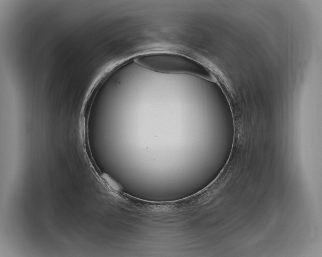X0000116621472200912110931
