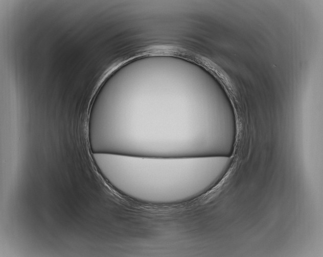 X0000116621473200912110931