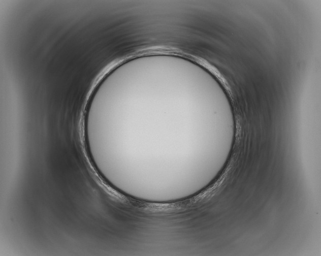 X0000116621474200912110931