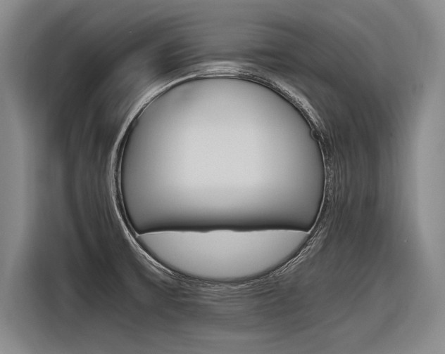 X0000116621475200912110931