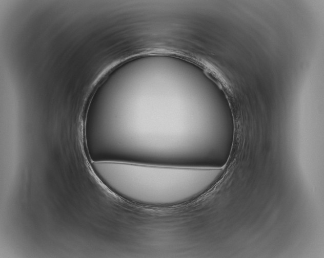 X0000116621476200912110931