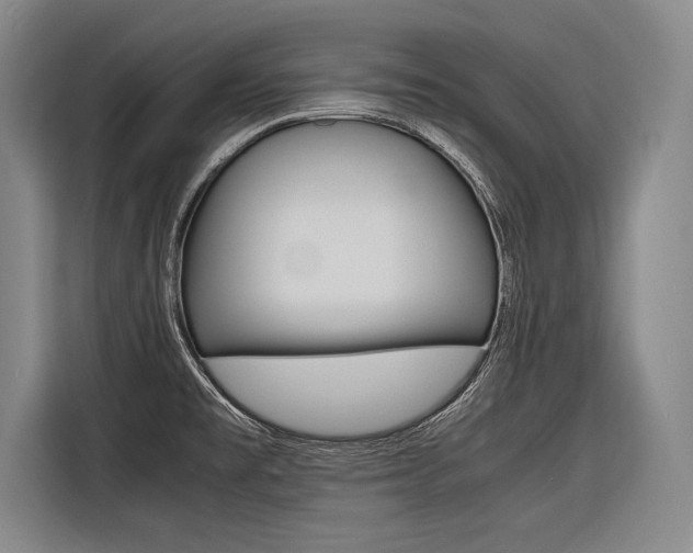X0000116621477200912110931