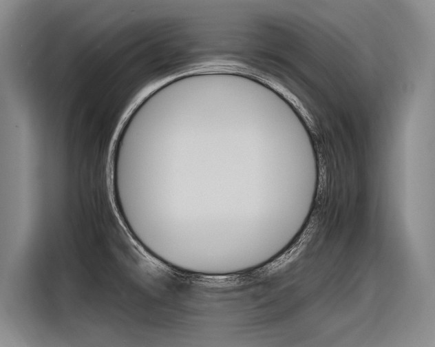 X0000116621478200912110931