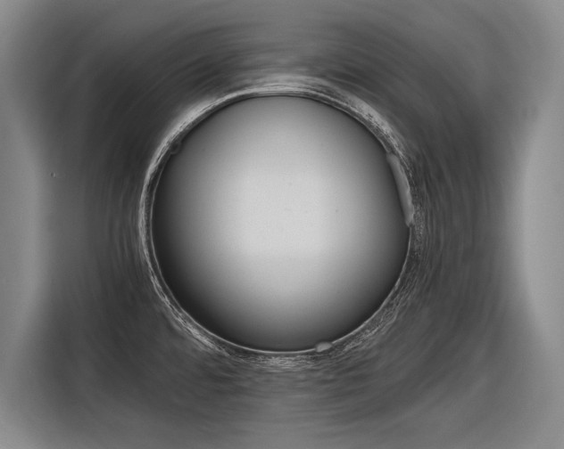 X0000116621480200912110931