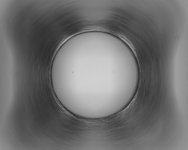 X0000116621481200912110931