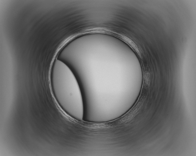 X0000116621482200912110931