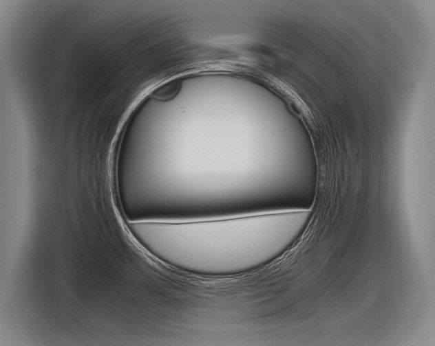 X0000116621483200912110931
