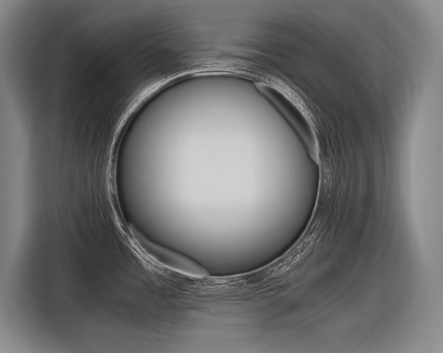 X0000116621485200912110931
