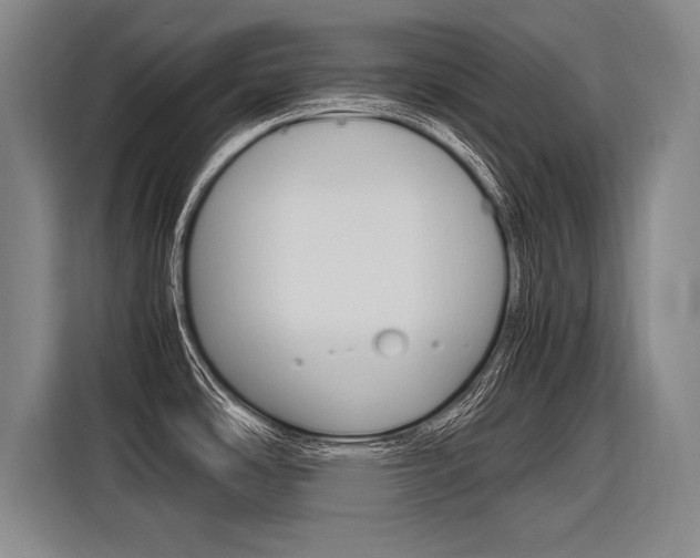X0000116621486200912110931