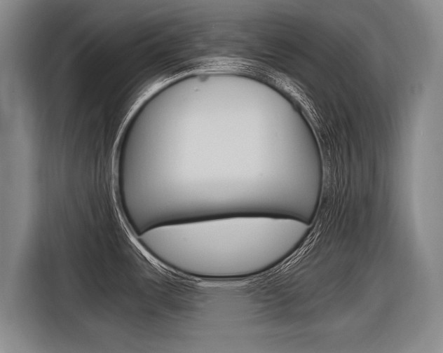 X0000116621487200912110931