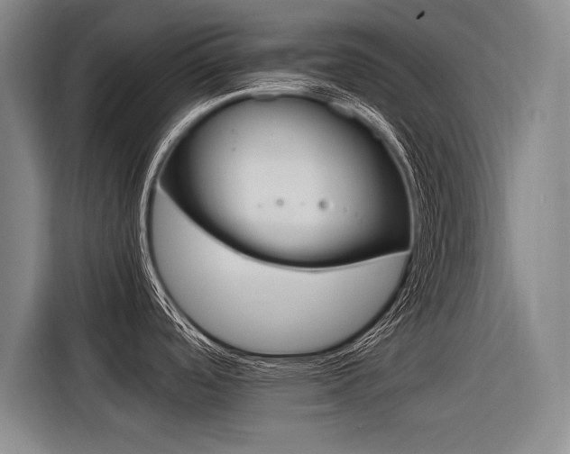 X0000116621488200912110931