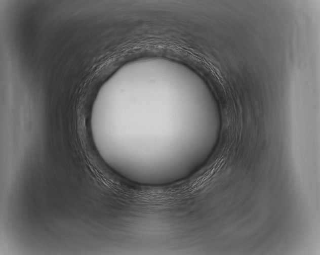 X0000116621489200912110930