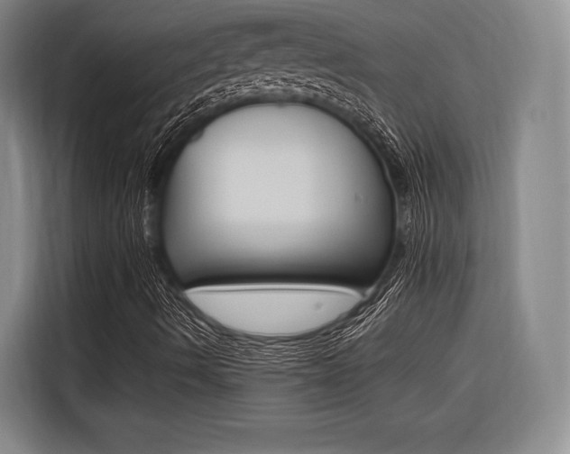 X0000116621490200912110930