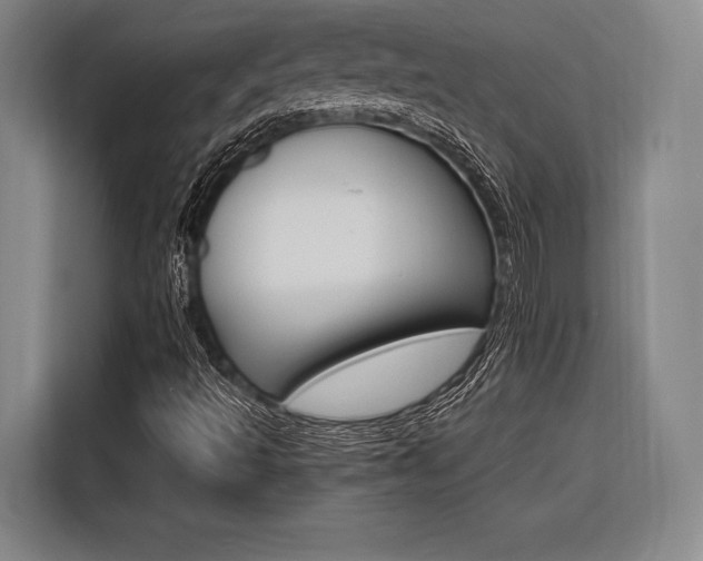 X0000116621493200912110930