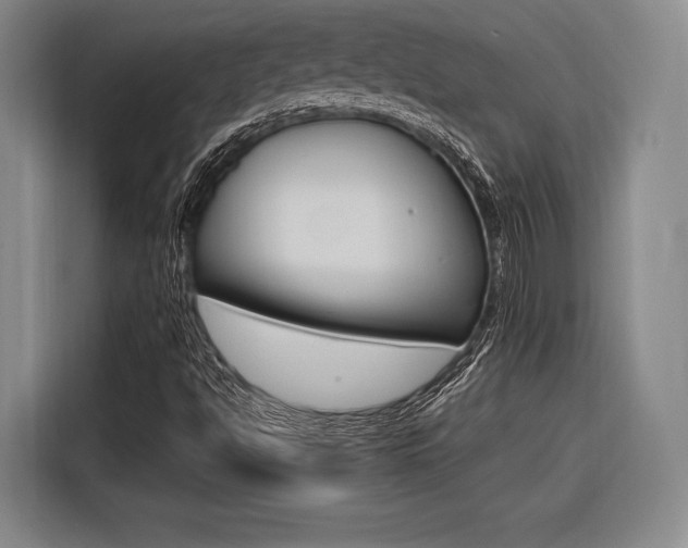 X0000116621494200912110930