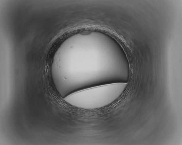 X0000116621495200912110930