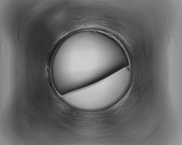 X0000116621497200912110930