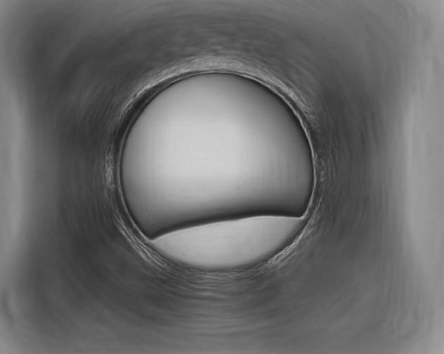 X0000116621499200912110930