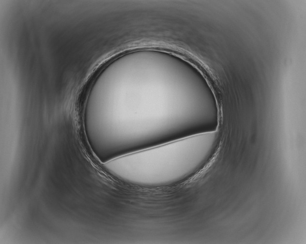 X0000116621501200912110930