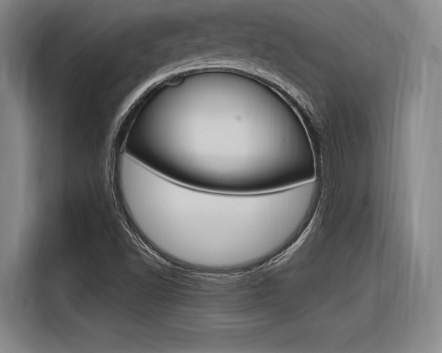 X0000116621502200912110930
