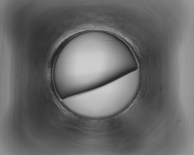X0000116621503200912110930