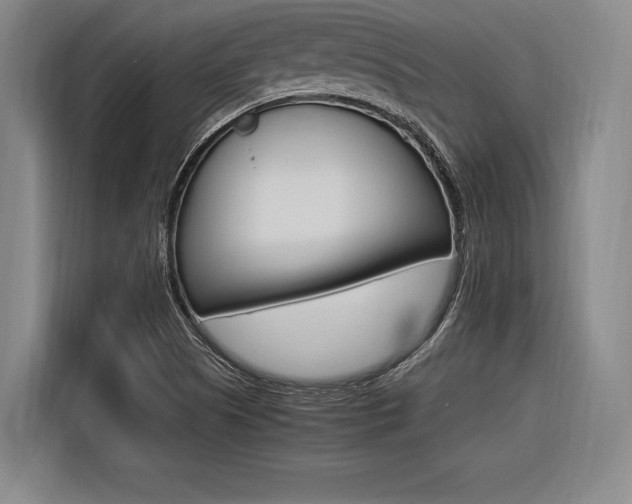 X0000116621505200912110930