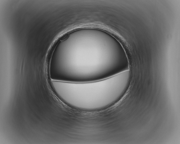 X0000116621506200912110930