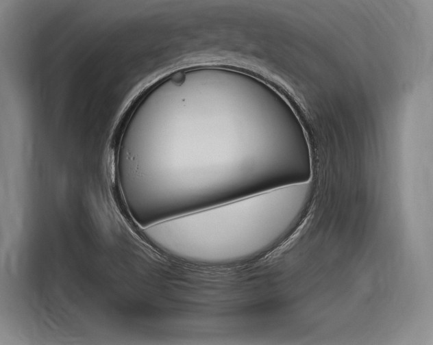 X0000116621509200912110930