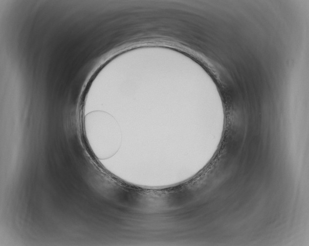 X0000116621514200912110930
