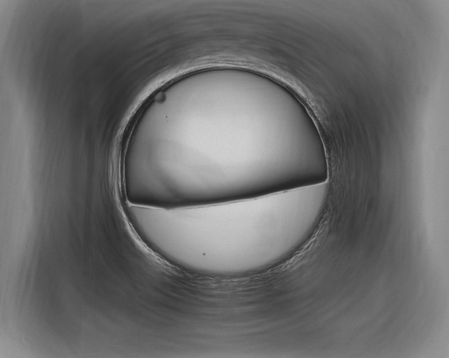 X0000116621515200912110930