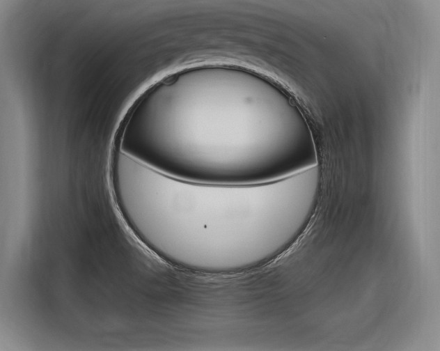 X0000116621518200912110930