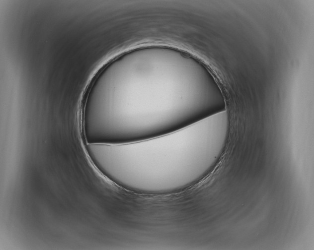 X0000116621519200912110930