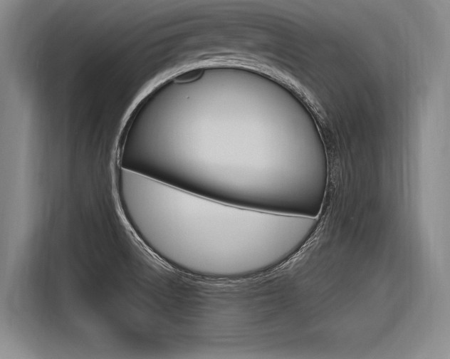 X0000116621522200912110930
