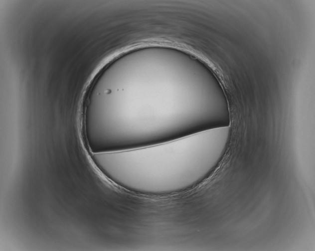 X0000116621523200912110930