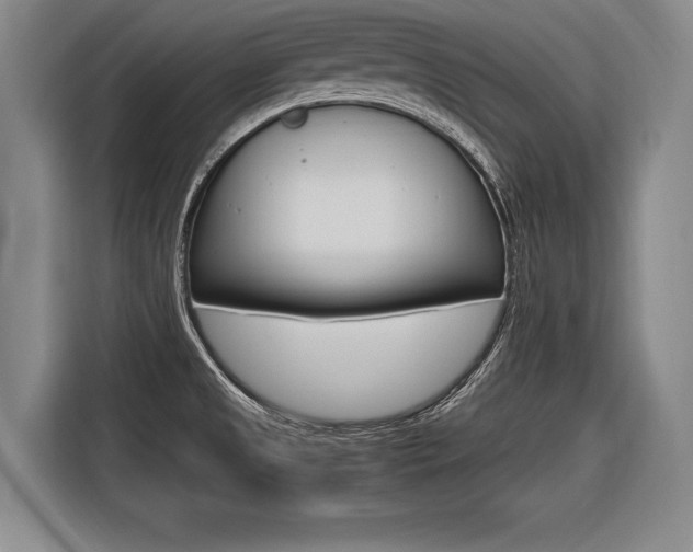 X0000116621525200912110930