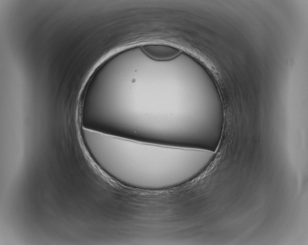 X0000116621526200912110930