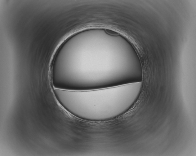X0000116621527200912110930