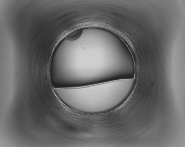 X0000116621529200912110931