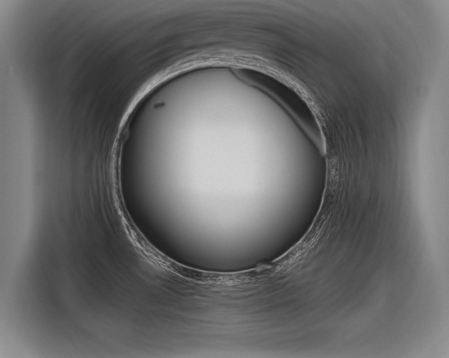 X0000116621530200912110931
