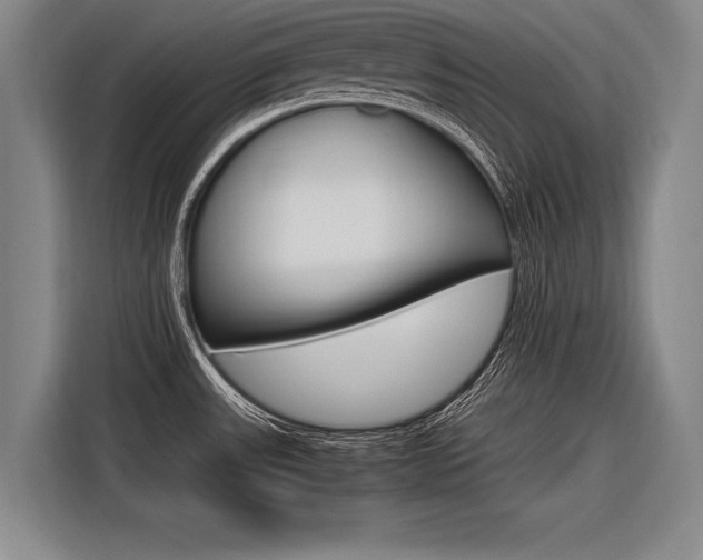 X0000116621531200912110931