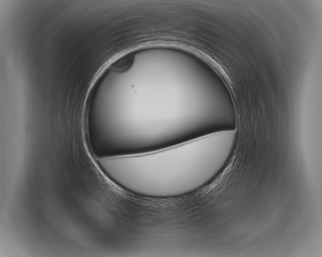 X0000116621533200912110931