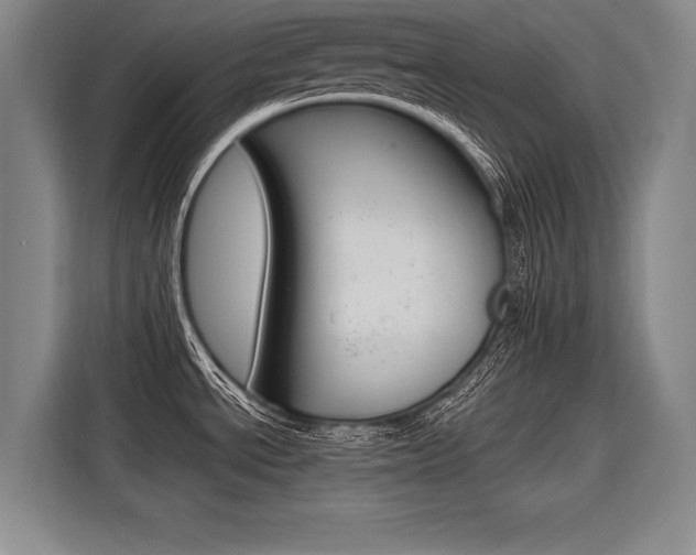 X0000116621534200912110931