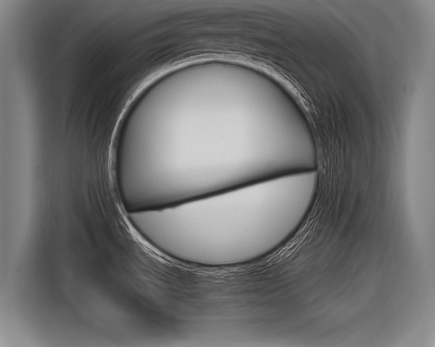 X0000116621535200912110931