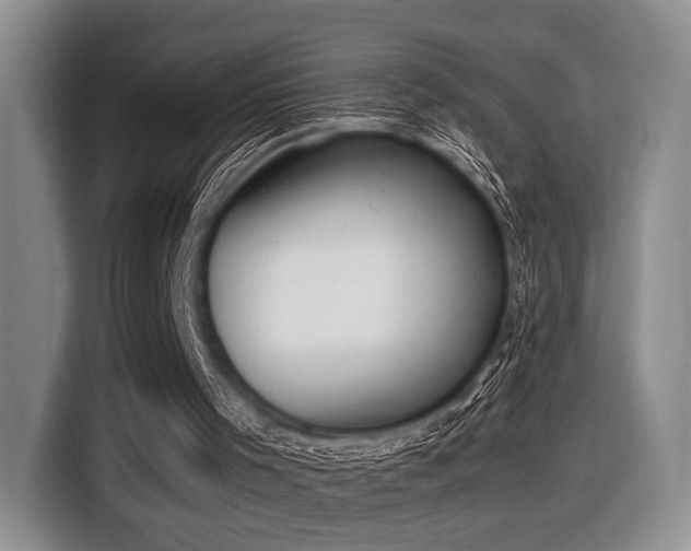 X0000116620001200912111206