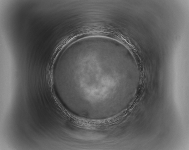 X0000116620002200912111206