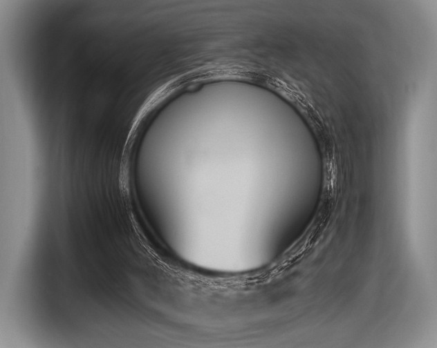 X0000116620004200912111206