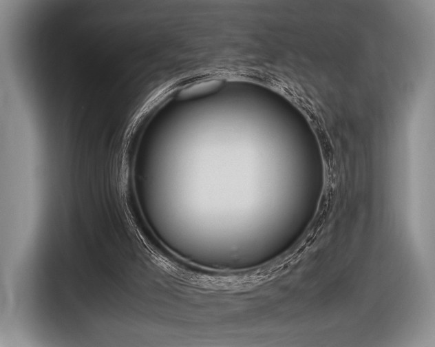 X0000116620005200912111206