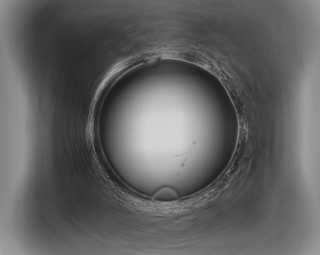 X0000116620006200912111206